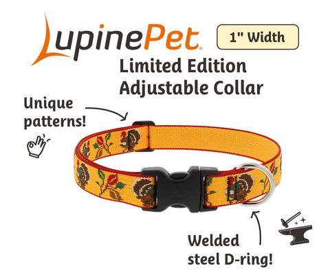 Show full view: LupinePet Thanksgiving Turkeys Adjustable Dog Collar, Turkey Trot, Large: 16 to 28-in neck, 1-in wide slide 2 of 6
