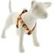 Show in main carousel: LupinePet Thanksgiving Turkeys Adjustable Step In Dog Harness, Turkey Trot, Large: 24 to 38-in chest girth, 1-in wide slide 1 of 6