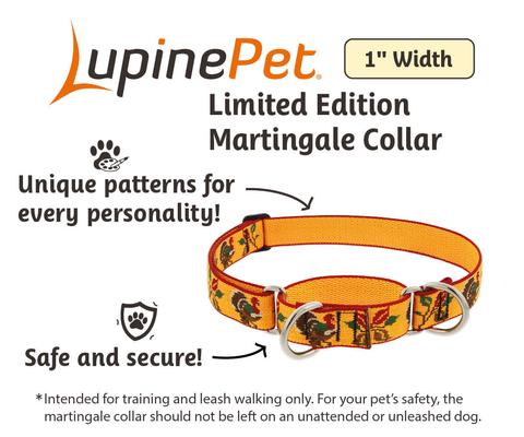 Show full view: LupinePet Thanksgiving Turkeys Adjustable Slip-on Martingale Training Dog Collar, Turkey Trot, X-Large: 19 to 27-in neck, 1-in wide slide 2 of 6