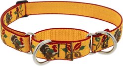 LupinePet Thanksgiving Turkeys Adjustable Slip-on Martingale Training Dog Collar, Turkey Trot, X-Large: 19 to 27-in neck, 1-in wide