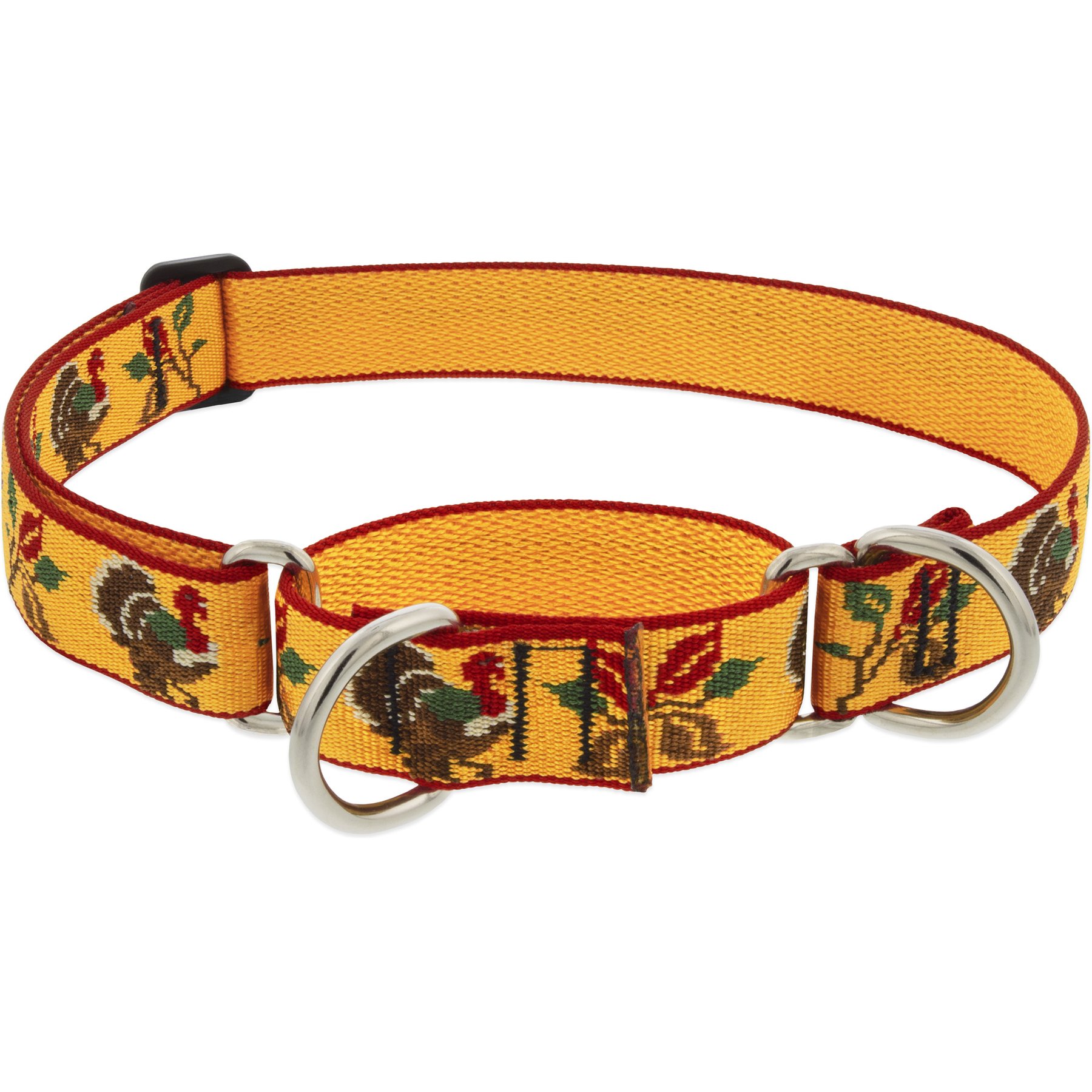 LupinePet Thanksgiving Turkeys Adjustable Slip-on Martingale Training Dog Collar, Turkey Trot, Large: 15 to 22-in neck, 1-in wide