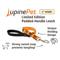 Show in main carousel: LupinePet Thanksgiving Turkeys Padded Handle Dog Leash, Turkey Trot, Short: 2-ft long, 1-in wide slide 2 of 5