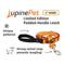 Show in main carousel: LupinePet Thanksgiving Turkeys Padded Handle Dog Leash, Turkey Trot, Regular: 4-ft long, 1-in wide slide 2 of 5