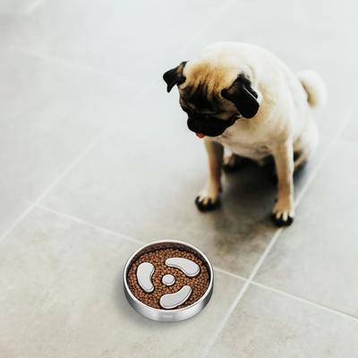 Show full view: Feedoo Double-Wall Non-Skid Stainless Steel Slow Feeder Dog Bowl, Small: 1-cup slide 8 of 9