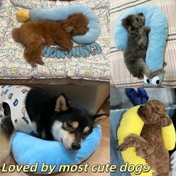 NonoPets Soft C-Shaped Pet Dog & Cat Pillow, Yellow slide 2 of 9