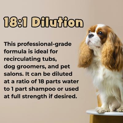 Show full view: Bark & Clean Soothing Oatmeal with Aloe Vera Dog Shampoo, 1-gal slide 4 of 7