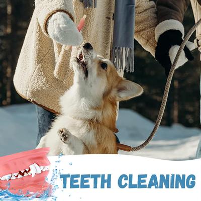 Show full view: Pawmate Chicken & Cod Sticks Dog Chews, 11-oz bag slide 9 of 9