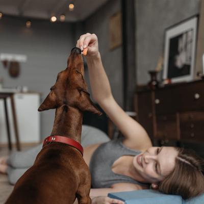 Show full view: Pawmate Sweet Potato Dog Chews, 30 count slide 7 of 9