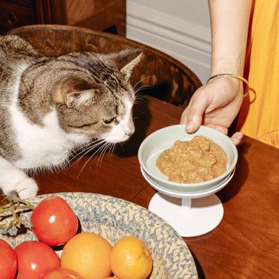 Show full view: tuft & paw Free Range Chicken & Rabbit Stew Wet Cat Food, 5.5-oz can, case of 12 slide 7 of 8