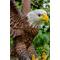 Show in main carousel: Hi-Line Gift 11.94-in Flying Eagle Statue Outdoor Decor slide 5 of 10