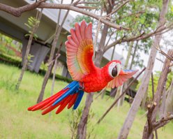 Hi-Line Gift 4.53-in Scarlet Parrot Flying Statue Outdoor Decor slide 2 of 8