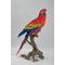 Show in main carousel: Hi-Line Gift 28.25-in Scarlet Macaw Statue Outdoor Decor slide 1 of 6