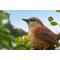 Show in main carousel: Hi-Line Gift 4.92-in Carolina Wren On Stump Garden Statue Outdoor Decor slide 6 of 7
