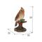 Show in main carousel: Hi-Line Gift 5.98-in Female Cardinal Resting On Stump Garden Statue Outdoor Decor slide 7 of 7