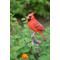 Show in main carousel: Hi-Line Gift 8.25-in Cardinal On Branch Outdoor Decor slide 1 of 5