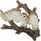 Show in main carousel: Hi-Line Gift 15.16-in Flying Barn Owl Wall Plaque Outdoor Decor slide 2 of 8