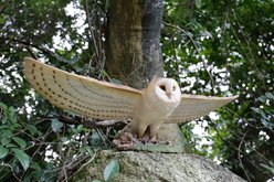 Hi-Line Gift 9.06-in Barn Owl Flying Statue Outdoor Decor