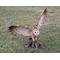 Show in main carousel: Hi-Line Gift 17.52-in Barn Owl On Stump with Open Wings Outdoor Decor slide 1 of 6
