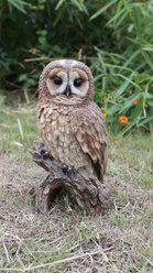 Hi-Line Gift 12.4-in Brown Owl On Stump Outdoor Decor