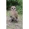 Show in main carousel: Hi-Line Gift 12.4-in Brown Owl On Stump Outdoor Decor slide 1 of 7