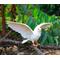 Show in main carousel: Hi-Line Gift 9.25-in White Pigeon Spreads Wings Outdoor Decor slide 1 of 7