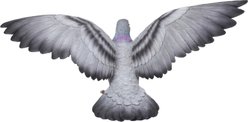 Hi-Line Gift 9.25-in Grey Pigeon with Coloured Neck Statue Outdoor Decor slide 2 of 7
