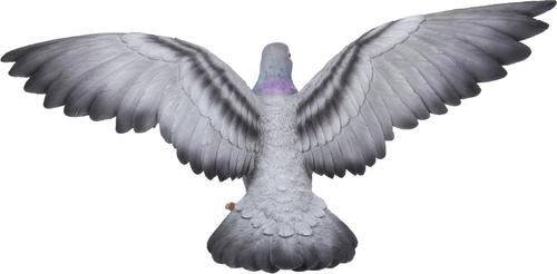 Show full view: Hi-Line Gift 9.25-in Grey Pigeon with Coloured Neck Statue Outdoor Decor slide 5 of 7