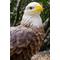 Show in main carousel: Hi-Line Gift 8.27-in Motion Activated Singing Eagle Outdoor Decor slide 5 of 9