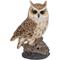 Show in main carousel: Hi-Line Gift 6.42-in Motion Activated Singing Long Eared Owlet Standing On Stump Outdoor Decor slide 3 of 8