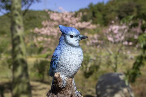 Show full view: Hi-Line Gift 6.5-in Motion Activated Singing Blue Jay Standing On Stump Outdoor Decor slide 6 of 9