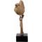 Show in main carousel: Hi-Line Gift 8.4-in Sing Bird On Branch Lifelike Resin Bird Indoor Tabletop Décor slide 2 of 9