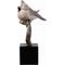 Show in main carousel: Hi-Line Gift 9.8-in Couple Crested Tit On Branch Lifelike Bird Resin Indoor Tabletop Décor slide 7 of 9