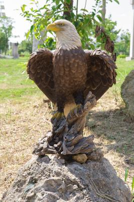 Show full view: Hi-Line Gift 17.5-in Bald Eagle On Stump with Wings Out Statue Outdoor Decor slide 2 of 8