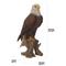 Show in main carousel: Hi-Line Gift 15.5-in Bald Eagle On Stump Statue Outdoor Decor slide 6 of 6