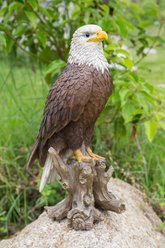 Hi-Line Gift 15.5-in Bald Eagle On Stump Statue Outdoor Decor