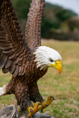 Show full view: Hi-Line Gift 11.94-in Flying Eagle Statue Outdoor Decor slide 7 of 10
