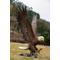 Show in main carousel: Hi-Line Gift 24.41-in Flying Eagle Statue Outdoor Decor slide 9 of 10