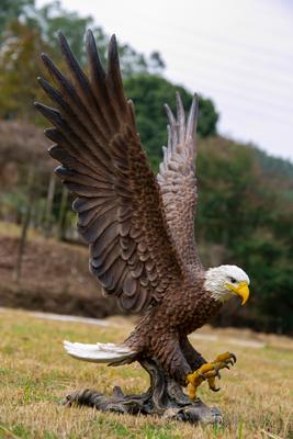 Show full view: Hi-Line Gift 24.41-in Flying Eagle Statue Outdoor Decor slide 9 of 10
