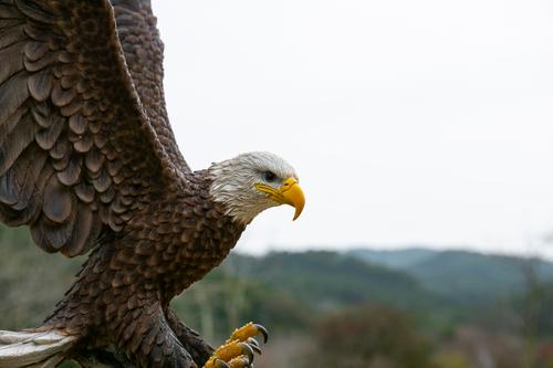 Show full view: Hi-Line Gift 24.41-in Flying Eagle Statue Outdoor Decor slide 8 of 10