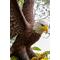 Show in main carousel: Hi-Line Gift 24.41-in Flying Eagle Statue Outdoor Decor slide 5 of 10