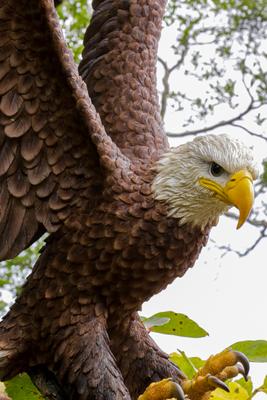 Show full view: Hi-Line Gift 24.41-in Flying Eagle Statue Outdoor Decor slide 5 of 10