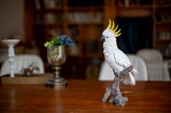 Hi-Line Gift 15-in Cockatoo On Branch Statue Outdoor Decor