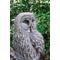 Show in main carousel: Hi-Line Gift 20.5-in Grey Owl On Stump Statue Outdoor Decor slide 7 of 8