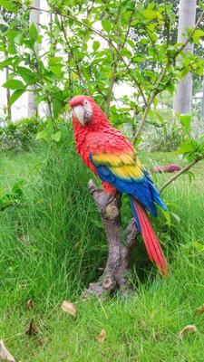 Show full view: Hi-Line Gift 15-in Parrot On Branch Outdoor Decor slide 6 of 7