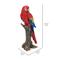 Show in main carousel: Hi-Line Gift 15-in Parrot On Branch Outdoor Decor slide 7 of 7