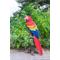 Show in main carousel: Hi-Line Gift 15-in Parrot On Branch Outdoor Decor slide 1 of 7