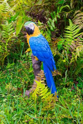 Show full view: Hi-Line Gift 15.24-in Blue & Yellow Parrot On Branch Statue Outdoor Decor slide 8 of 9