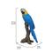 Show in main carousel: Hi-Line Gift 15.24-in Blue & Yellow Parrot On Branch Statue Outdoor Decor slide 7 of 9