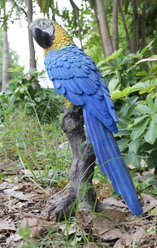 Hi-Line Gift 15.24-in Blue & Yellow Parrot On Branch Statue Outdoor Decor