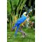 Show in main carousel: Hi-Line Gift 28.25-in Blue & Yellow Macaw Statue Outdoor Decor slide 1 of 6